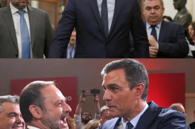 [VEREDICTO FINAL: EL JUICIO DE ÁBALOS ACTIVA UN PROTOCOLO DE DESTRUCCIÓN CONTRA SÁNCHEZ Y YO INICIO UNA CENSURA PARA EL PARTIDO PSOE] ¿Qué pruebas ocultas y documentos secretos saldrán a la luz para exponer la corrupción sistémica en la Moncloa y los horribles motivos que llevaron al temor a un colapso total del gobierno a activar un desesperado “protocolo de encubrimiento” en el último año de su mandato? Hay una traición nacional que el sistema ha tratado de minimizar y una verdad impactante que ya no puede ocultar: este brutal procesamiento es el último clavo en el ataúd de una realidad que la historia ya ha declarado como el fin del desenfrenado sanchismo.