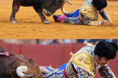 “‘El silencio que solo rompe el llanto…’ — y los pasillos de la clínica se quedaron en silencio.”  Morante de la Puebla dinamita la tranquilidad de su entorno más íntimo tras la gravísima cogida sufrida en la Maestranza de Sevilla… y deja uno de los momentos más críticos para su círculo personal al reabrirse las heridas de una vida sentimental tan intensa como su toreo.  No fue un percance más. Fue una tragedia real. Sin filtros. Sin protección. Solo angustia acumulada.  Porque cuando el diestro cae herido de gravedad bajo la mirada de las mujeres que han marcado su destino… es porque el drama fuera del ruedo ya ha pasado demasiado.  El ambiente cambió en segundos… pero hay algo que sigue resonando.  ¿Hasta dónde puede aguantar el corazón de quienes le aman… cuando el genio se juega la vida y la estabilidad emocional en cada tarde?  Ver más en comentarios