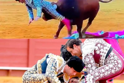 “‘El aliento del toro en el cuello…’ — y el albero de Sevilla se quedó en silencio.”  Morante de la Puebla dinamita el corazón de la afición tras una violenta embestida en La Maestranza que ha helado la sangre de los presentes… y deja uno de los momentos más angustiosos de la temporada al ser evacuado de urgencia tras quedar a merced del animal.  No fue una cogida más. Fue un impacto real. Sin filtros. Sin protección. Solo tragedia acumulada.  Porque cuando el genio de la Puebla vuela por los aires y el silencio se apodera de la plaza más importante del mundo… es porque el riesgo extremo del toreo ya ha pasado demasiado.  El ambiente cambió en segundos… pero hay algo que sigue resonando.  ¿Hasta dónde puede llegar el tributo de sangre de un artista… cuando la gloria y la muerte se cruzan en un solo segundo de descuido?  Ver más en comentarios