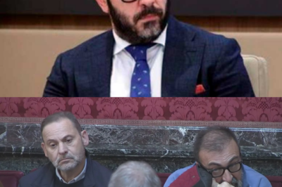 [PÁNICO EN FERRAZ: EL INFORME DE LA UCO QUE DINAMITA A KOLDO POR UNA VERDAD INCONFESABLE SOBRE SUS PROTECTORES] 🚨 ¿Qué mensajes recuperados y qué flujo de dinero negro hacia las altas esferas han quedado al descubierto, y el motivo aterrador por el que se ha activado un “protocolo de aislamiento” para soltar la mano de Koldo tras este golpe letal? 🏛️ Hay una verdad demoledora que el sistema ya no puede ocultar: este es el fin de la impunidad en los despachos del poder.