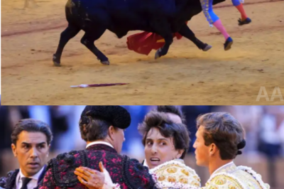 Tana Rivera vive una escena de máxima tensión tras la cogida de Roca Rey en Sevilla |BV