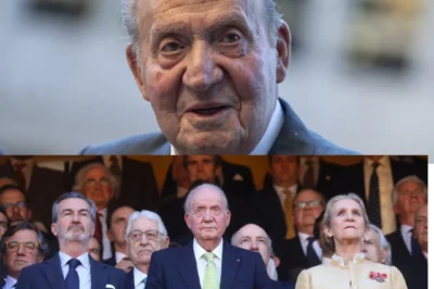 Su lado más inesperado: Rey Juan Carlos I sorprende con humor en Sevilla… pero sus palabras sobre la visita exprés dan que hablar.