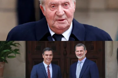 Una frase que sacude equilibrios, una tensión que ya no se oculta… y una figura que queda atrapada entre dos mundos. Nada es tan simple tras las palabras de Juan Carlos I.