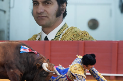 Un instante lo cambia todo, una tarde que se vuelve crítica… y una lucha contra el tiempo. Morante de la Puebla cae herido en La Maestranza.