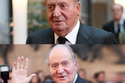 Regreso inesperado al foco internacional: Rey Juan Carlos I reaparece en la Asamblea Nacional francesa… pero el contexto levanta preguntas incómodas.