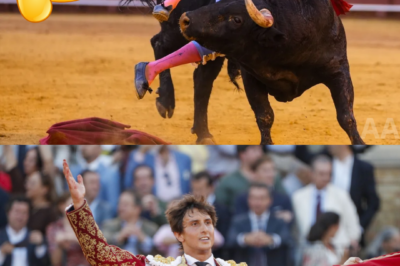 Todo parecía ir mejor… hasta que llegó ese detalle |BV