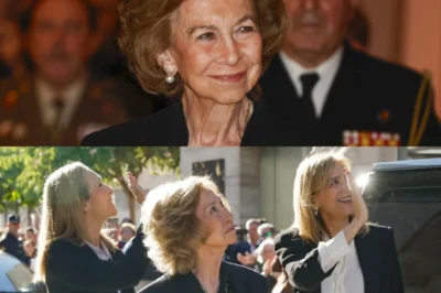 Una anécdota inesperada en pleno vuelo: Reina Sofía vive un momento insólito… pero lo ocurrido sorprende a todos.